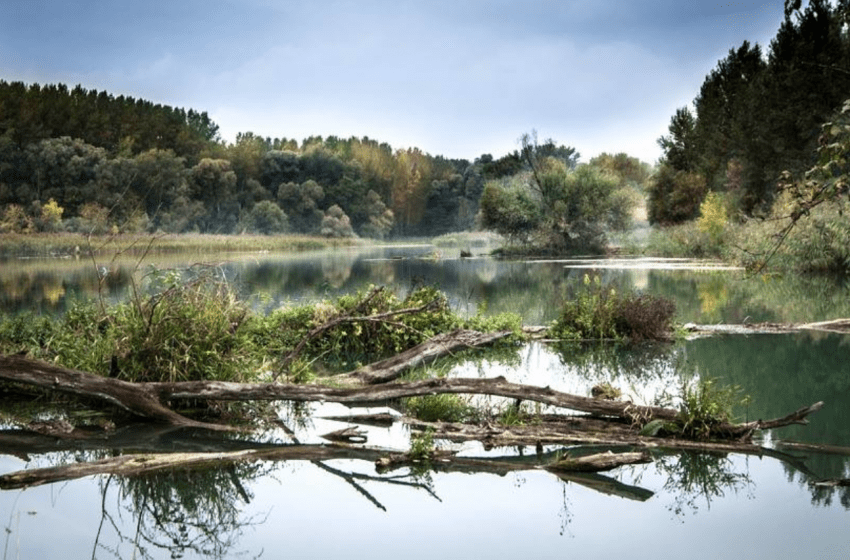  Tipy na trip do prírody v Bratislave a okolí