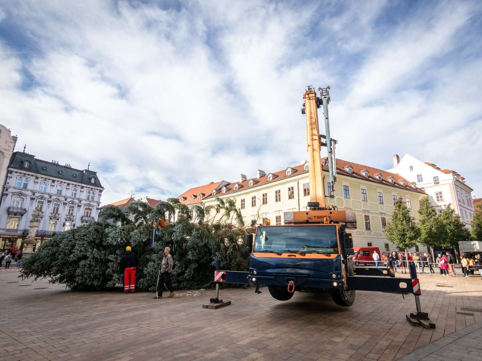 Vianočný stromček je z Karlovej Vsi. (Foto: Mestská polícia, fb)
